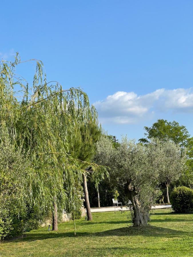 La Maison Des Lonnes Bed and Breakfast Châteaurenard Buitenkant foto